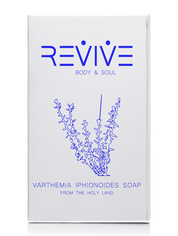Varthemia iphionoides soap